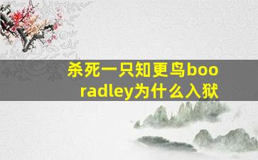 杀死一只知更鸟boo radley为什么入狱